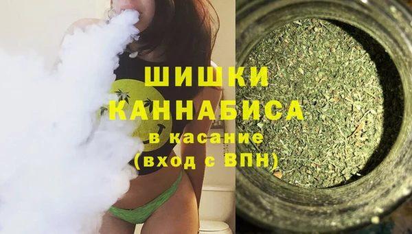 крисы Переславль-Залесский