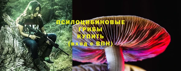 крисы Переславль-Залесский