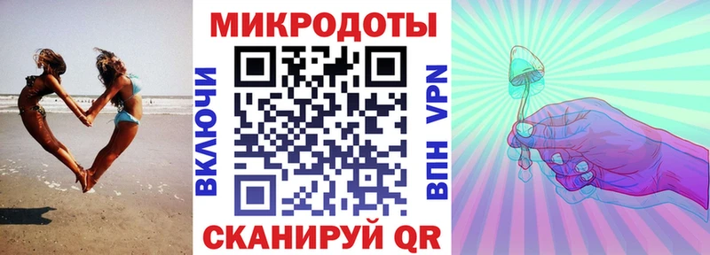 где купить наркоту  Пугачёв  Псилоцибиновые грибы Psilocybe 